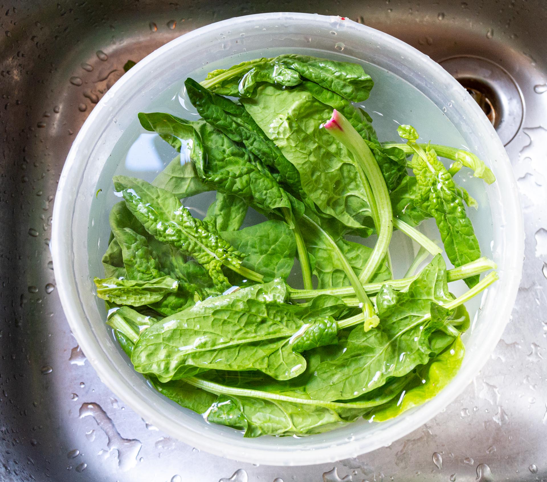 Spinat mit Kirschen und Kichererbsen – VEG e.V.