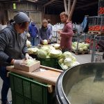 Sauerkraut Prudktion