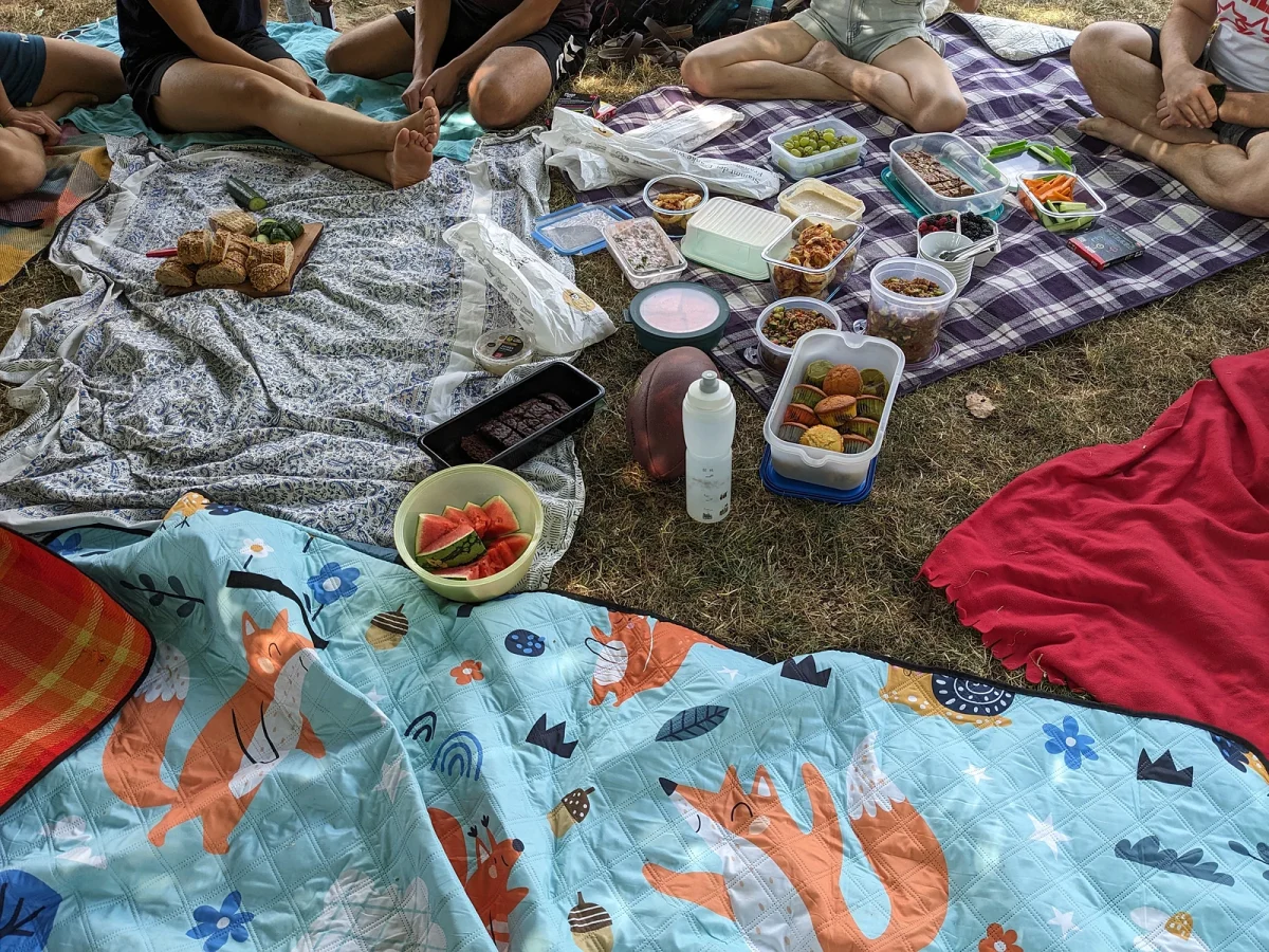 Picknick-Decken mit ausgebreitetem Essen
