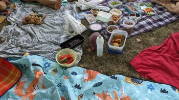 Picknick-Decken mit ausgebreitetem Essen