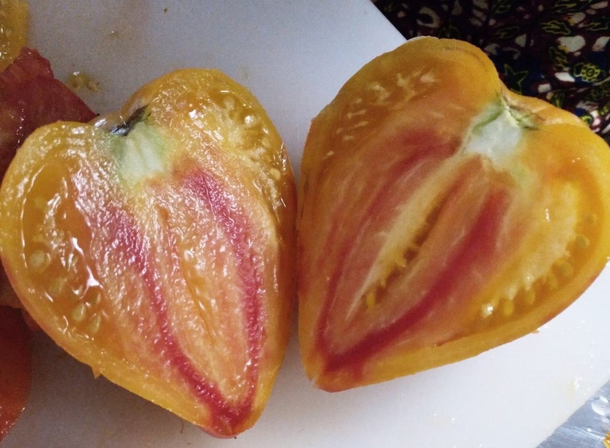 Eine aufgeschnittene Tomate in Herzform: außen gelb, innen auch ein bisschen rot